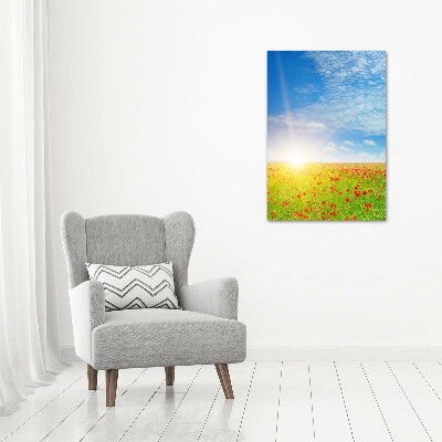 Akril üveg kép Területén a pipacsok