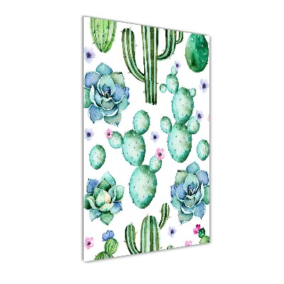 Akrilkép Kaktuszok