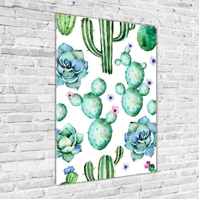 Akrilkép Kaktuszok