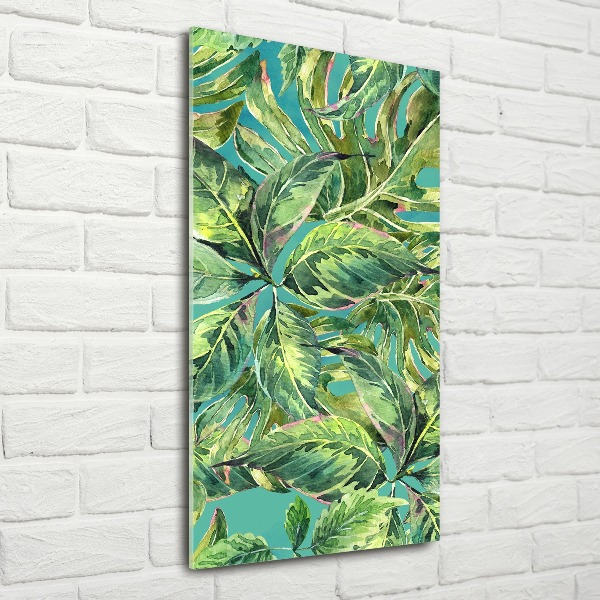 Akrilkép Trópusi levelek
