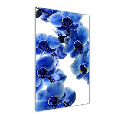 Akrilkép Kék orchidea
