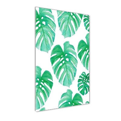 Akrilkép Monstera