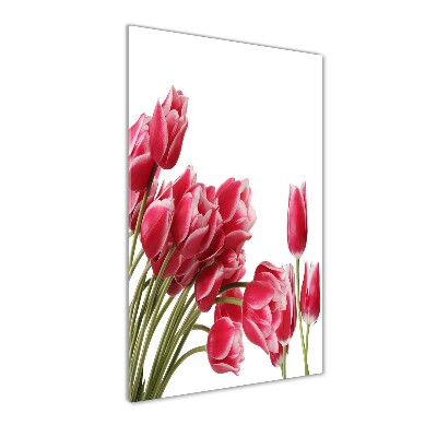 Akrilkép Piros tulipánok