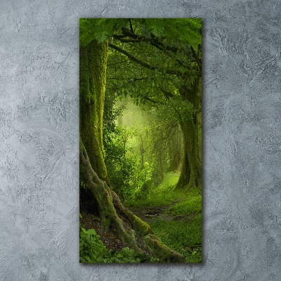 Akril üveg kép Trópusi dzsungel