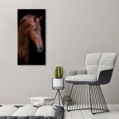 Akrilkép Portré egy ló