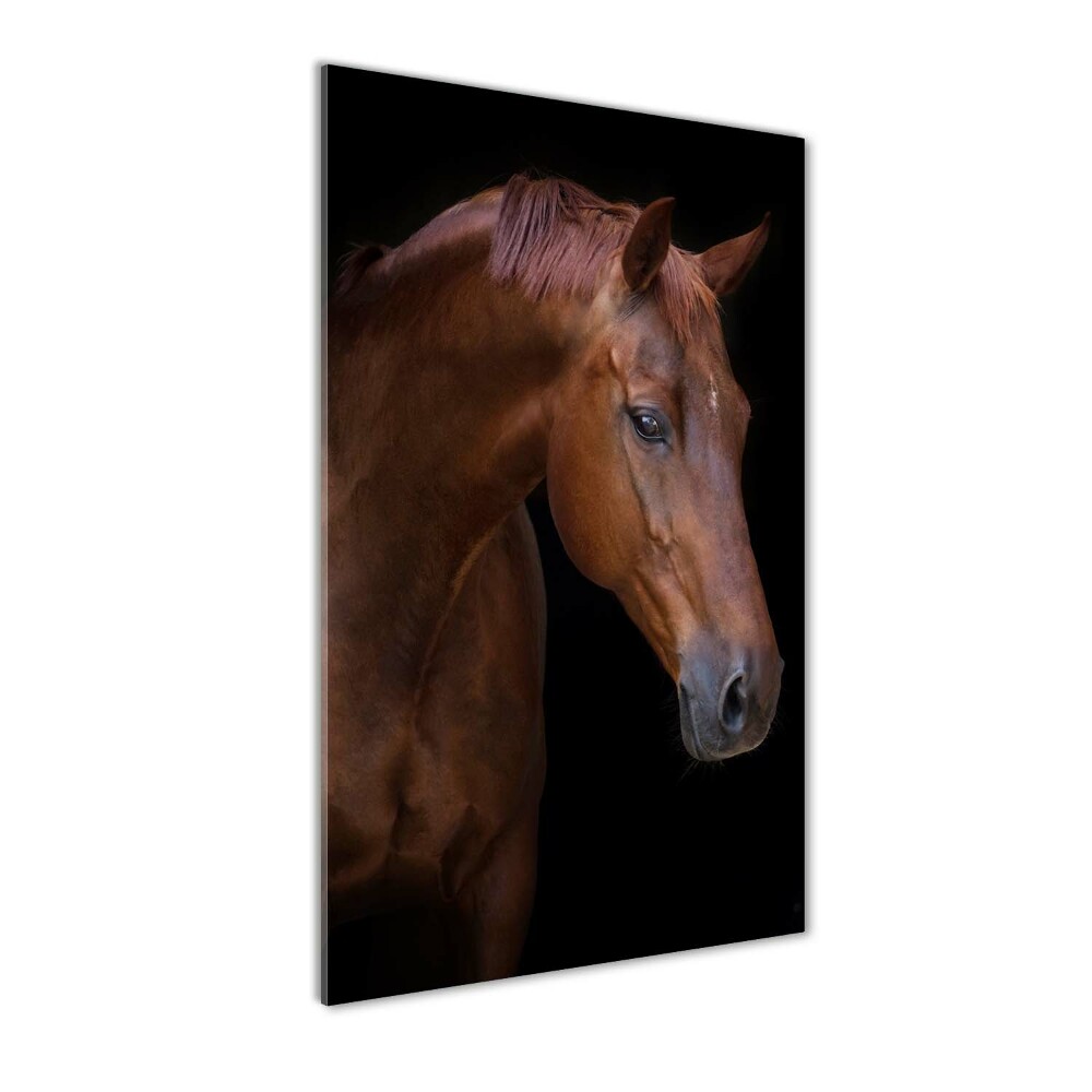 Akrilkép Portré egy ló