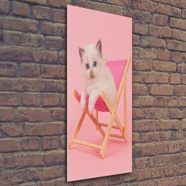 Akrilkép Cat egy nyugágyon