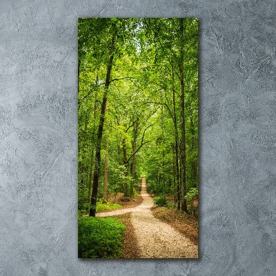 Akril üveg kép Az út az erdőben