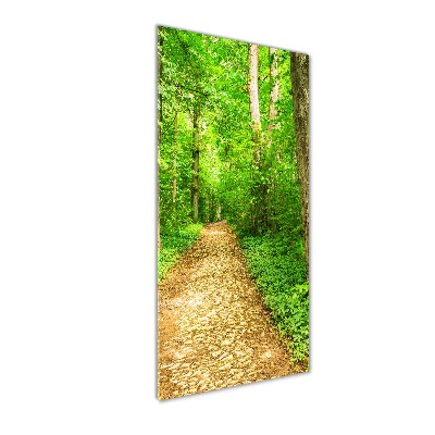 Akril üveg kép Az út az erdőben