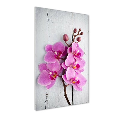 Akrilkép Rózsaszín orchidea
