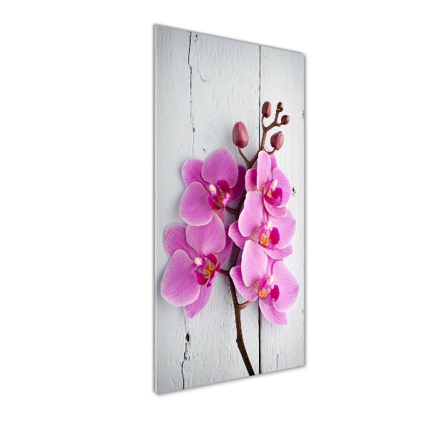 Akrilkép Rózsaszín orchidea