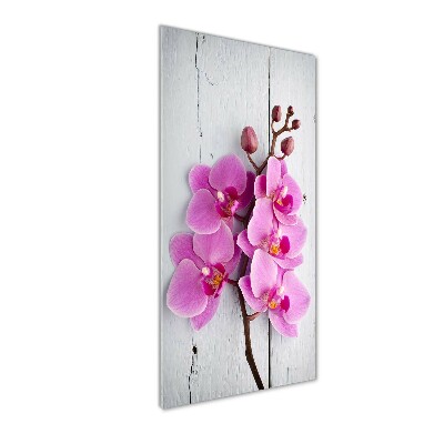 Akrilkép Rózsaszín orchidea