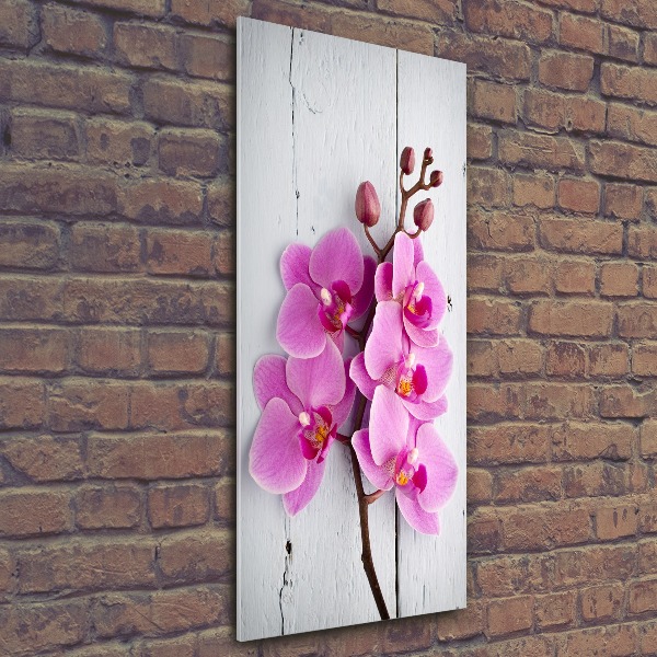 Akrilkép Rózsaszín orchidea