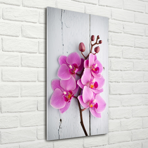 Akrilkép Rózsaszín orchidea