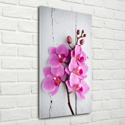 Akrilkép Rózsaszín orchidea