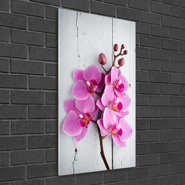 Akrilkép Rózsaszín orchidea