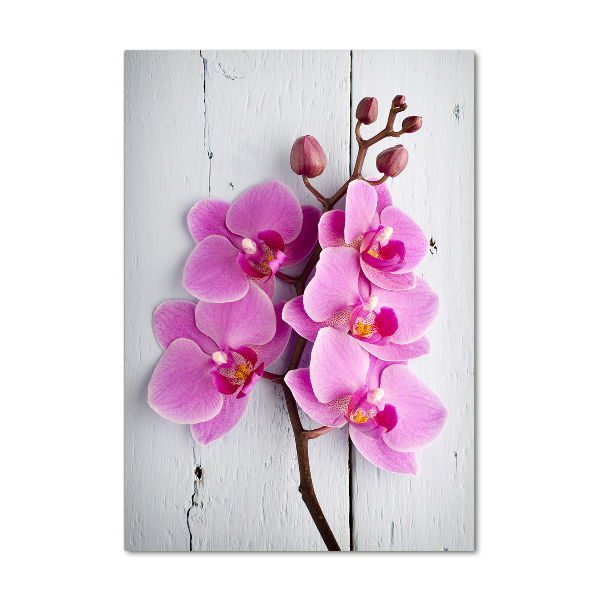 Akrilkép Rózsaszín orchidea