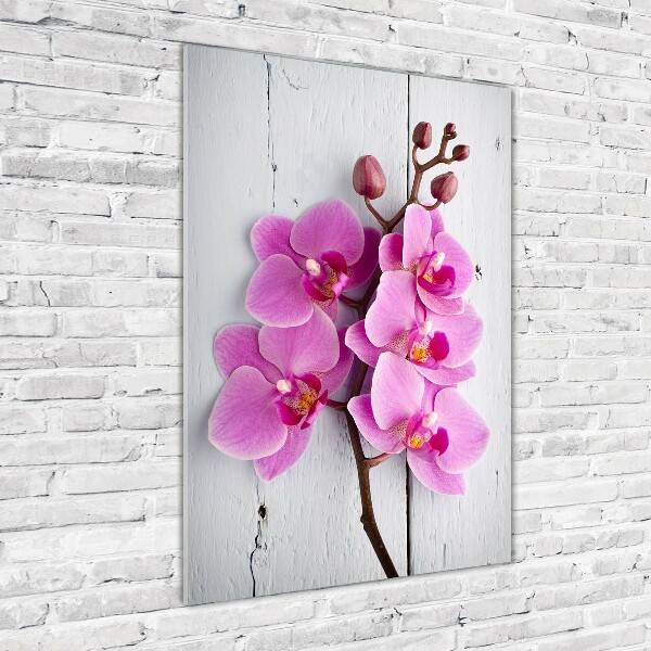 Akrilkép Rózsaszín orchidea