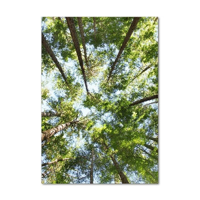 Akril üveg kép Felső ágak egy fa