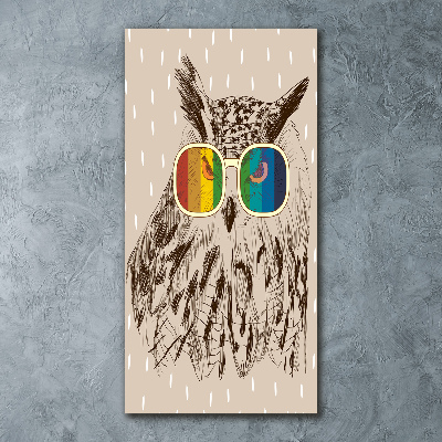 Akrilkép Baglyok szemüveg