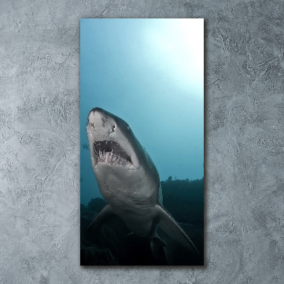 Akrilkép Nagy cápa