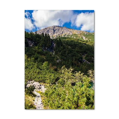 Akril üveg kép Marine szem tatry