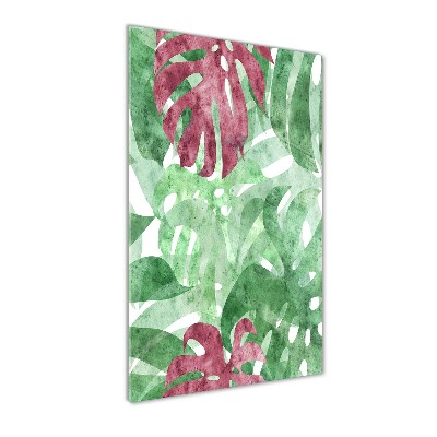 Akrilkép Monstera