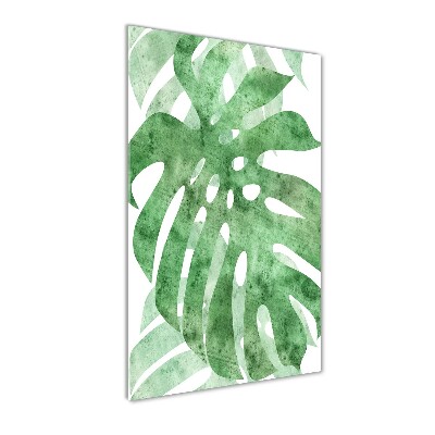 Akrilkép Monstera