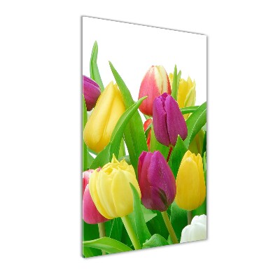 Akrilkép Színes tulipán