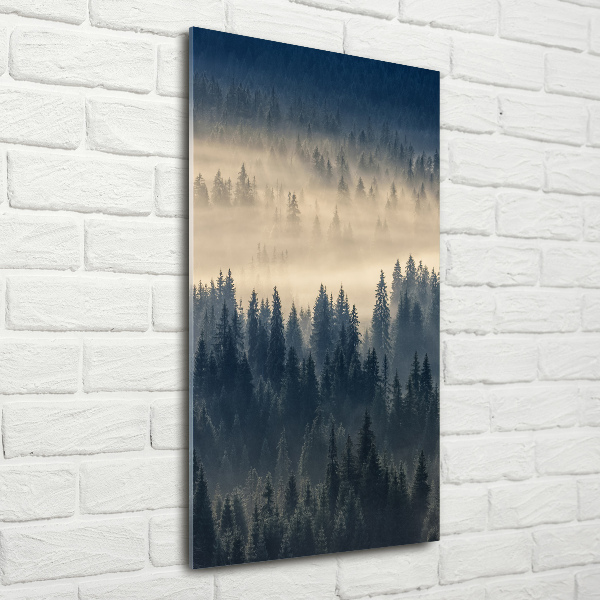 Akril üveg kép Köd az erdőben