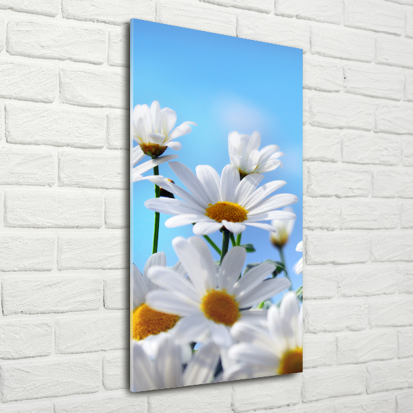 Akrilkép Margaréták