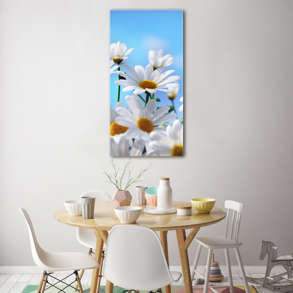 Akrilkép Margaréták