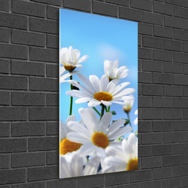 Akrilkép Margaréták