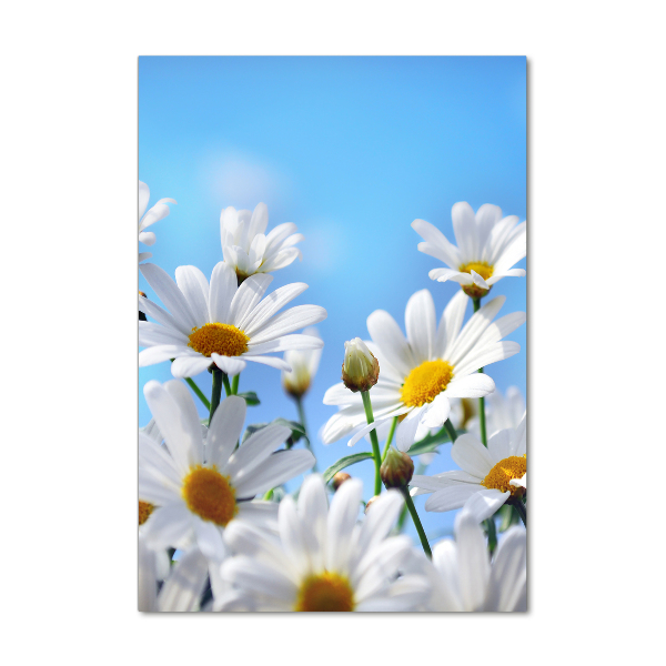 Akrilkép Margaréták