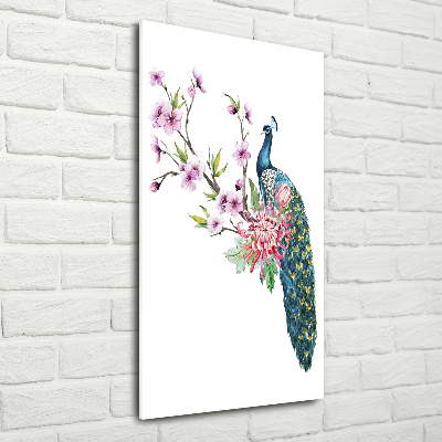Akrilkép Páva és virágok