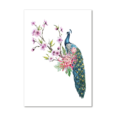 Akrilkép Páva és virágok