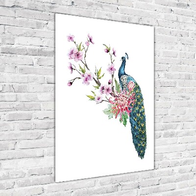 Akrilkép Páva és virágok