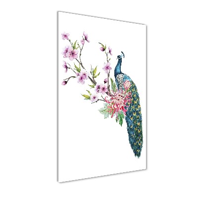 Akrilkép Páva és virágok