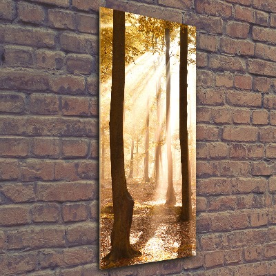 Akril üveg kép Erdő ősszel