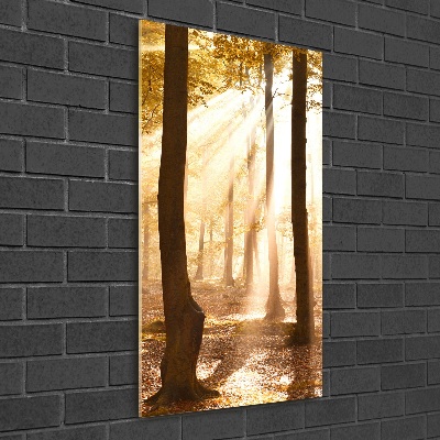 Akril üveg kép Erdő ősszel