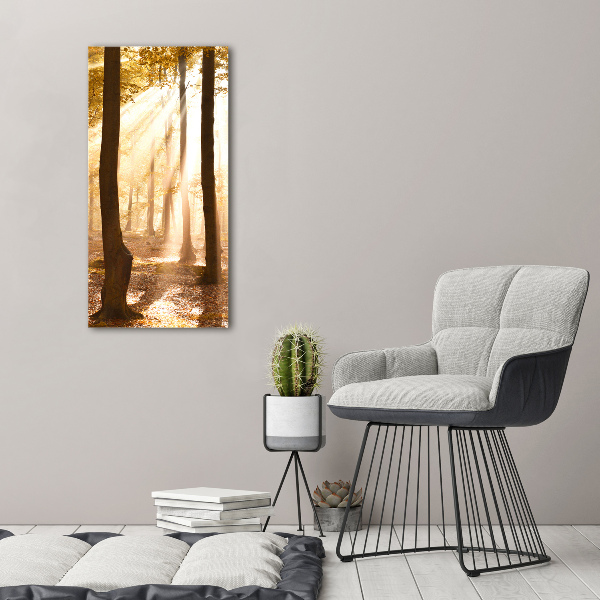 Akril üveg kép Erdő ősszel