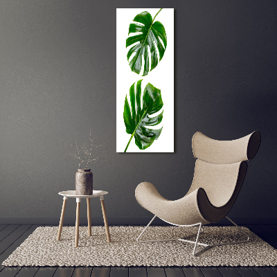 Akrilkép Monstera