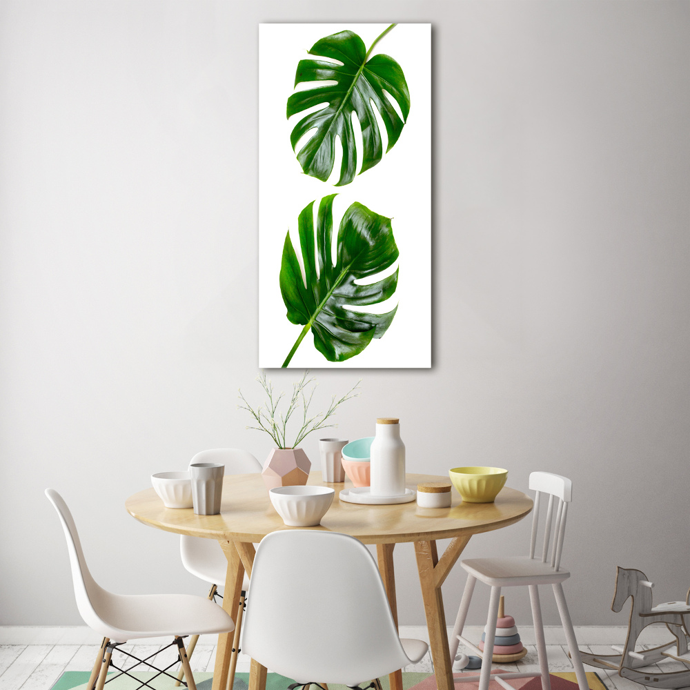 Akrilkép Monstera