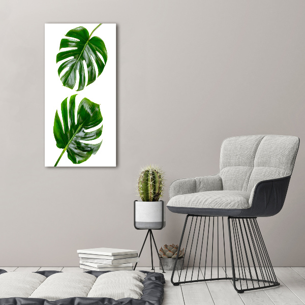 Akrilkép Monstera