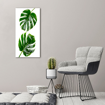 Akrilkép Monstera