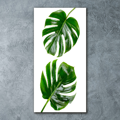 Akrilkép Monstera