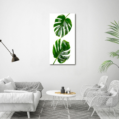 Akrilkép Monstera