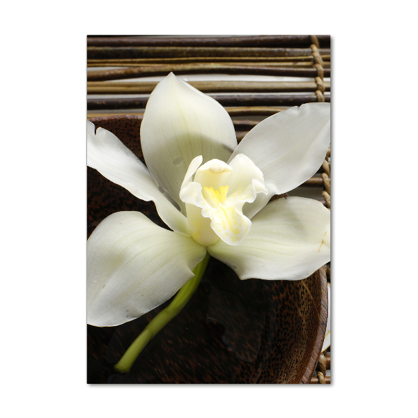 Akrilkép Orchidea