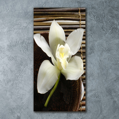 Akrilkép Orchidea