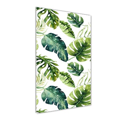 Akrilkép Trópusi levelek